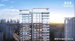 专业发卖的指点下